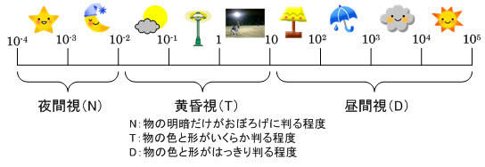 Fig1_2_5_5
