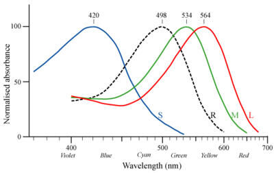 Fig1_2_4_7