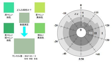 アンディマンのカルチャークリエート 奏造成