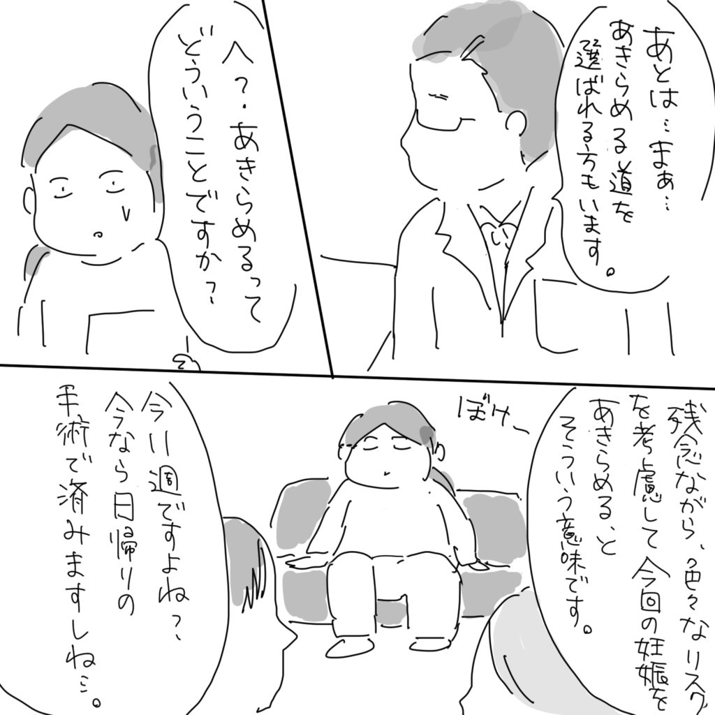 「あとは…まぁ…あきらめる道を選ばれる方もいます。」「へ？あきらめるってどいうことですか？」「残念ながら、色々なリスクを考慮して今回の妊娠をあきらめる、とそういう意味です。」ぼけー「今11週ですよね？今なら日帰りの手術で済みますしね…。」