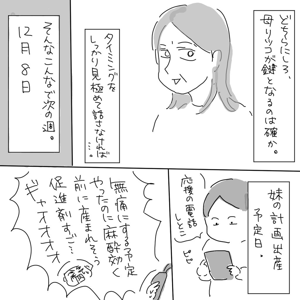 どちらにしろ、母リツコが鍵となるのは確か。タイミングをしっかり見極めて話さなければ…。そんなこんなで次の週。12月8日、妹の計画出産予定日。「応援の電話しとこ。」ピピ「無痛にする予定やったのに麻酔効く前に産まれそう促進剤すご…ギャオオオオ」