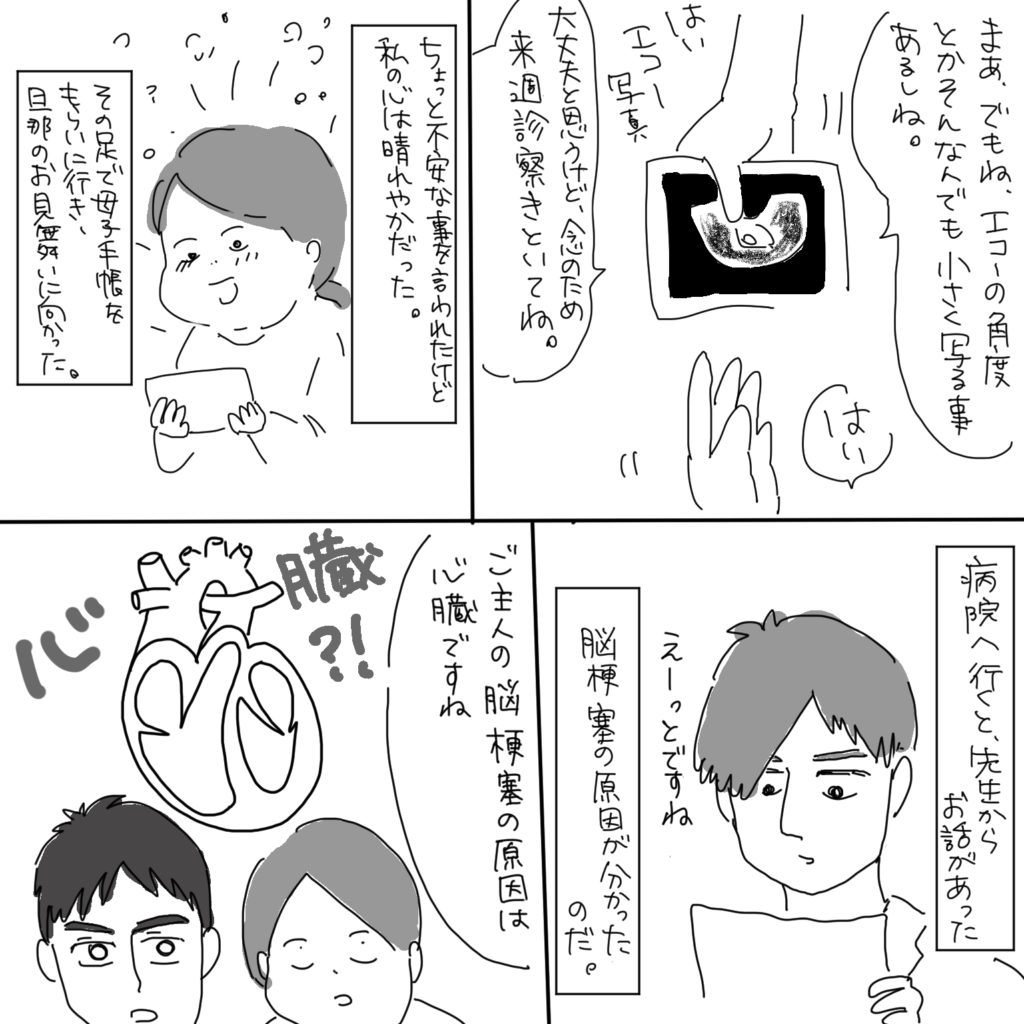 「まぁ、でもね、エコーの角度とかそんなんでも小さく写る事あるしね。大丈夫と思うけど、念のため来週診察きといてね」はいエコー写真「はい」ちょっと不安なことを言われたけど私の心は晴れやかだった。その足で母子手帳をもらいに行き、旦那のお見舞いに向かった。病院へ行くと、先生からお話があった。脳梗塞の原因が分かったのだ。「えーっとですね、ご主人の脳梗塞の原因は心臓ですね。」