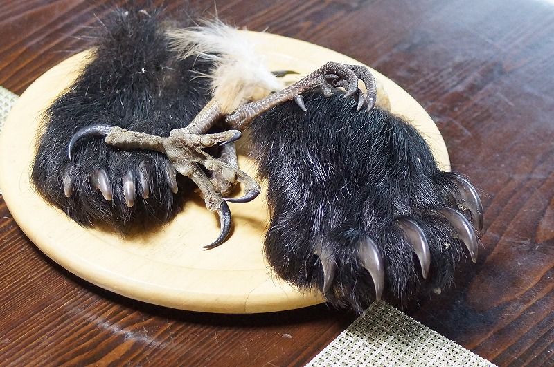 創作料理 かたつむり 岐阜 １ けいこの名古屋の旨い店