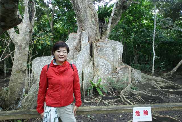 ｇｗ恒例の 西表島 あけぼの館 ６ けいこの旅行記