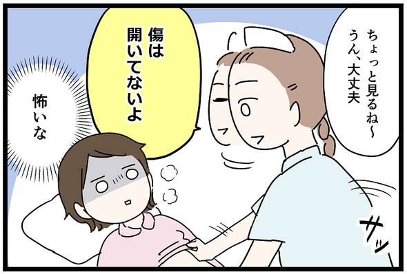 icchomae1244_04