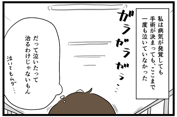 icchomae1240_04