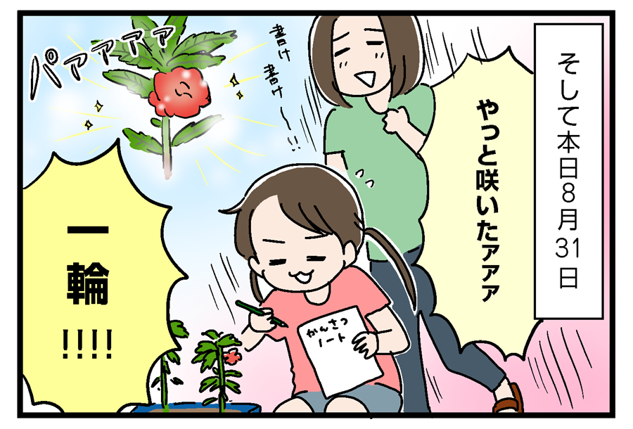 ホウセンカの観察日記 あね子の日常withいっちょまえ姉妹 Powered By ライブドアブログ
