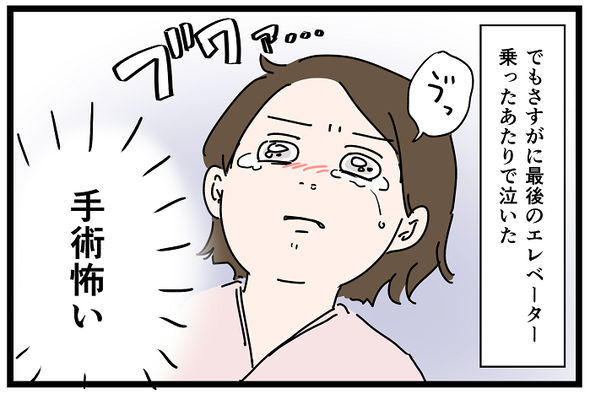 icchomae1240_05