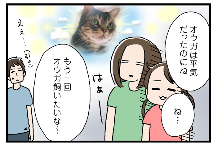 猫を預かったらいろいろあった あね子の日常withいっちょまえ姉妹 Powered By ライブドアブログ