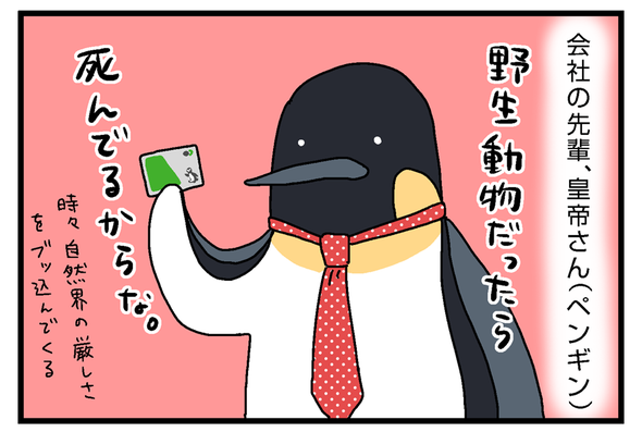 icchomae901_02
