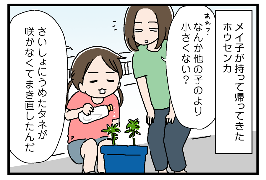 ホウセンカの観察日記 あね子の日常withいっちょまえ姉妹 Powered By ライブドアブログ