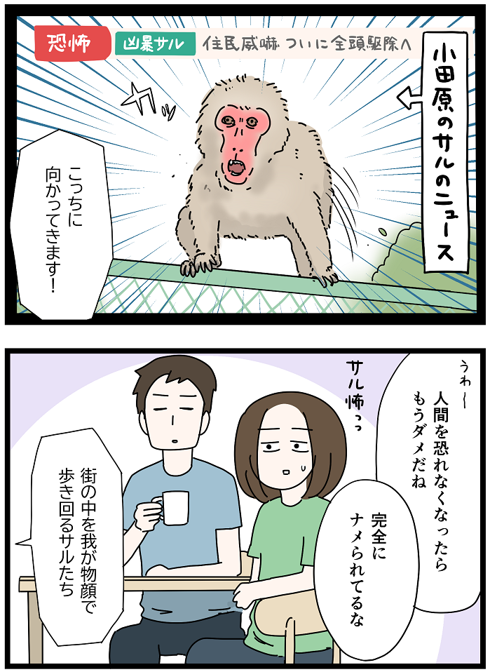 我々はサル以下なんよ いっちょまえ姉妹を育てています Powered By ライブドアブログ