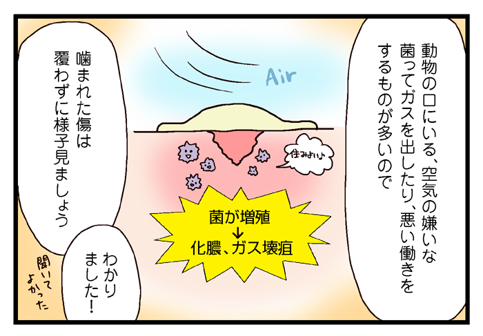 動物に噛まれたときの対応と自分が猫に噛まれた話 いっちょまえ姉妹を育てています Powered By ライブドアブログ 動物に噛まれたときの対応と自分が猫に噛まれた話 いっちょまえ姉妹を育てています Powered By ライブドアブログ