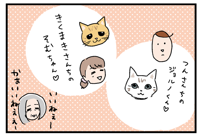 猫預かった話のコメントお礼 文字多め いっちょまえ姉妹を育てています Powered By ライブドアブログ 猫預かった話のコメントお礼 文字多め いっちょまえ姉妹を育てています Powered By ライブドアブログ