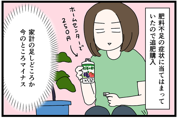 icchomae1438_06