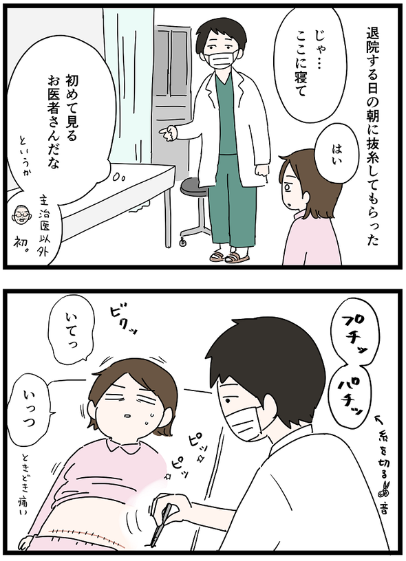icchomae1247_01