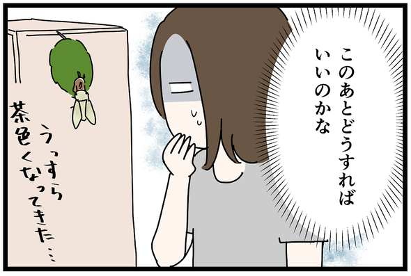 icchomae1271_10