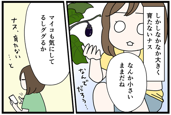 icchomae1438_03