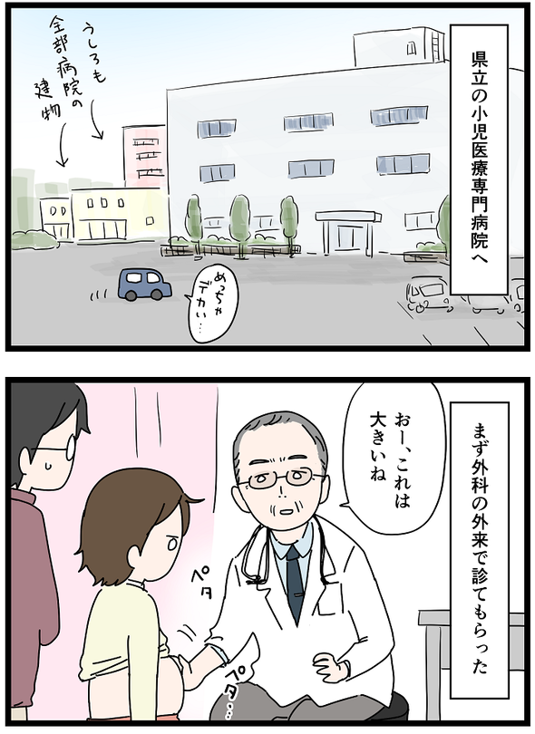 icchomae1237_01