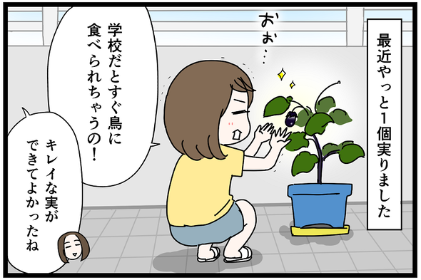icchomae1438_02