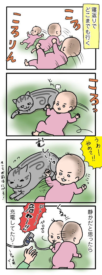 6ヶ月