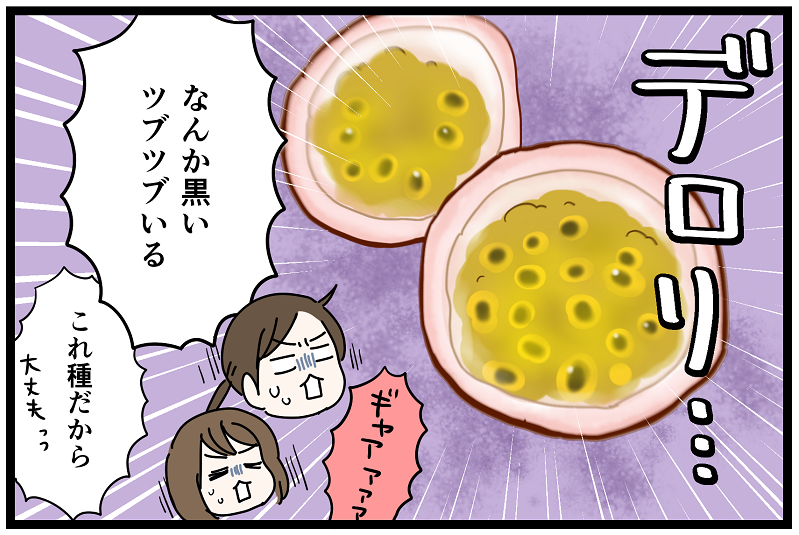 パッションフルーツは見た目で損してる いっちょまえ姉妹を育てています Powered By ライブドアブログ
