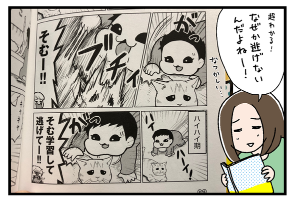 icchomae733_03