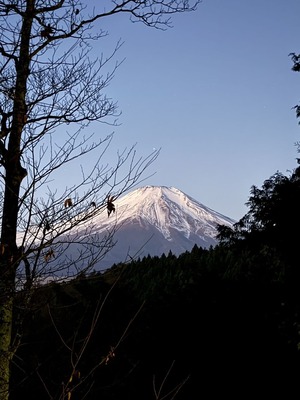 IMG_7971