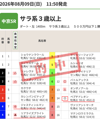 0809中京5R 3歳上1勝クラス(分析班 白瀬提供)