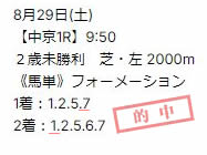 sy829