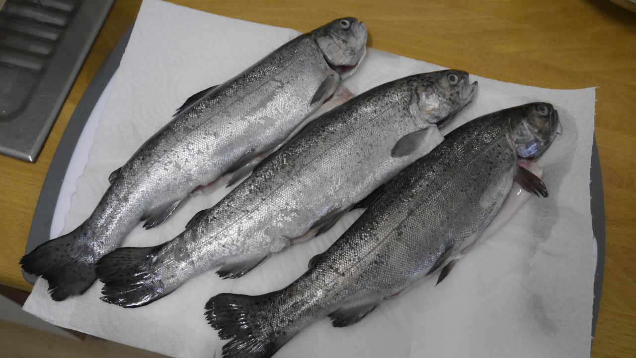 フォレレ ミュレリン ニジマスのムニエル 子連れでドイツ生活blog