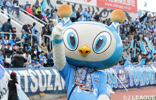 yokohamafc_lsize