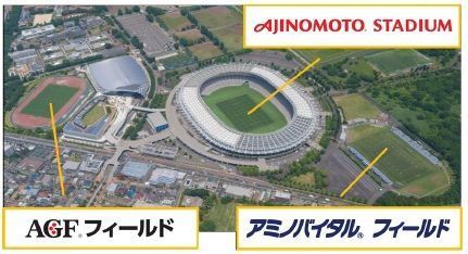 181102ajinomoto-2