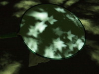 P8150238