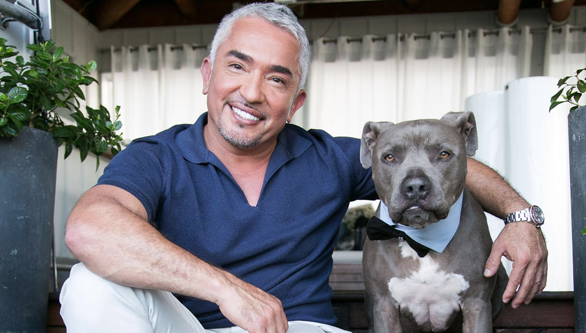 Cesar Millan シーザー ミラン Angela Lala Blog Magazine Cesar Millan シーザー ミラン Angela Lala Blog Magazine