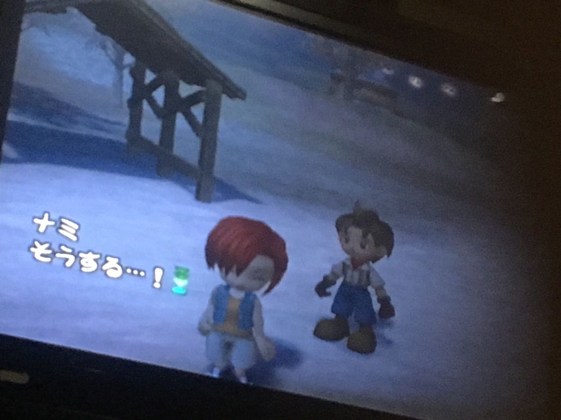 牧場物語 というギャルゲー 代作業所通い 精神病の日記 牧場物語 というギャルゲー 代作業所通い 精神病の日記