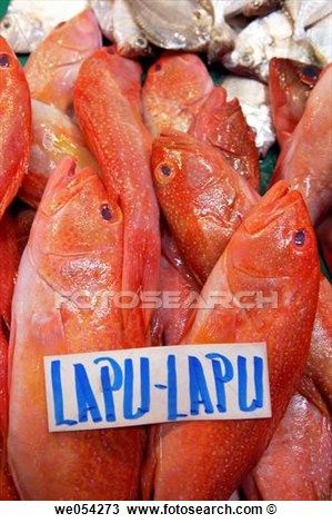 Lapu-Lapu Red