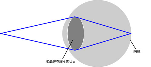 調節をしている（目に力を入れた）状態