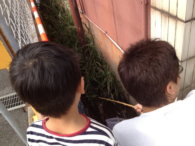 8081796385_83b976a2cf_o