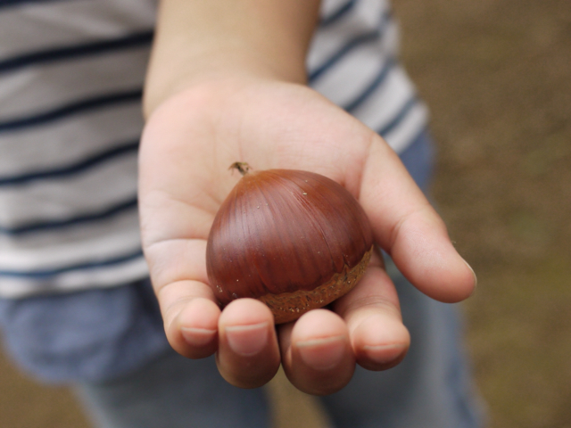 2012-09-09 15:57:58 写真1