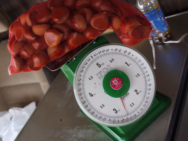 2012-09-09 13:49:53 写真1