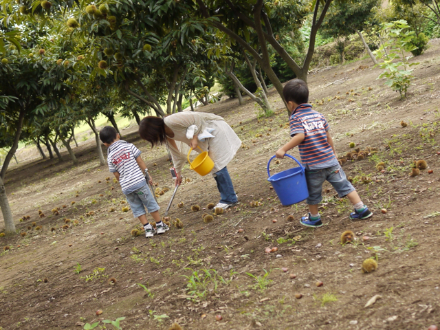 2012-09-09 14:02:39 写真1