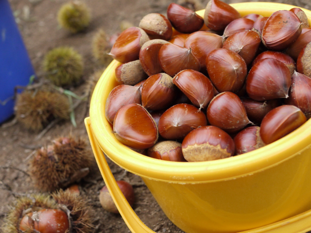 2012-09-09 13:47:04 写真1