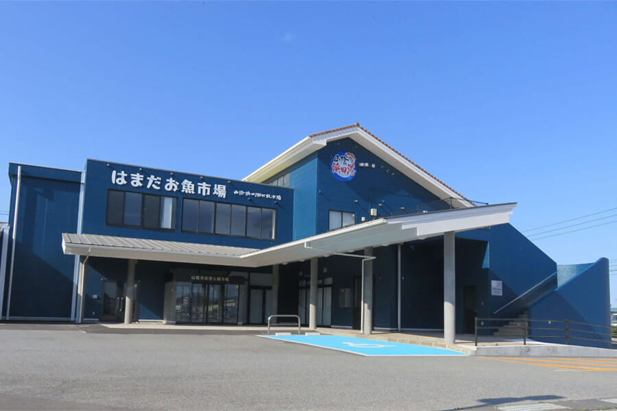 はまだお魚市場 Kuu Neru Asobu はまだお魚市場 Kuu Neru Asobu