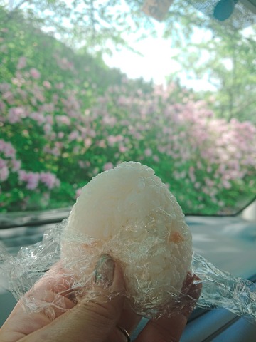 2019-05-12-12-21-31