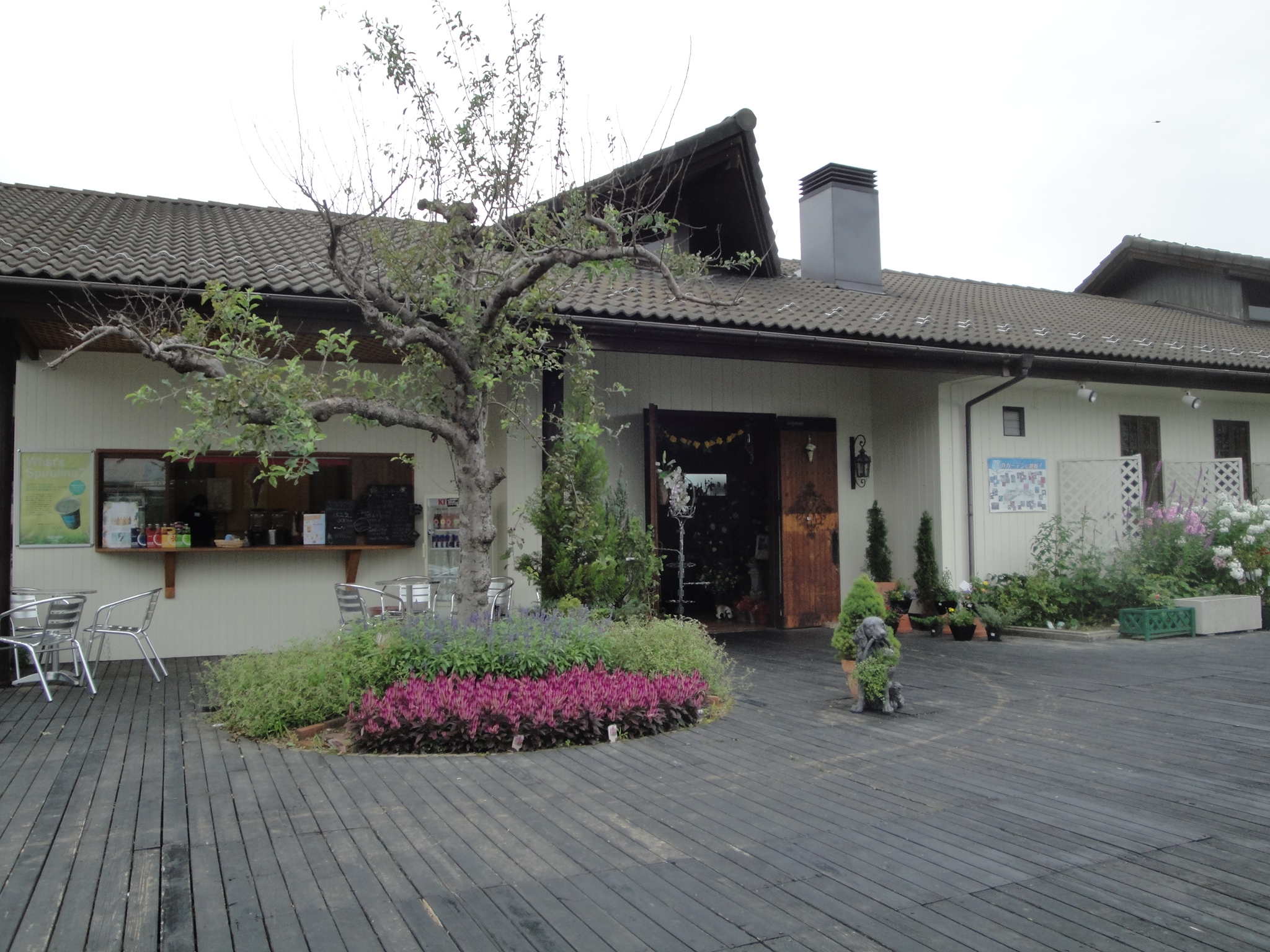 三春ハーブ花ガーデン Kerikeri ジャスミンのハンドメイド日記