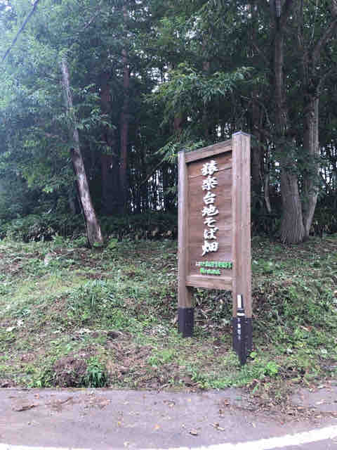 猿楽台地そば畑 ドライブとランチ ジャスミンのハンドメイド日記 猿楽台地そば畑 ドライブとランチ ジャスミンのハンドメイド日記