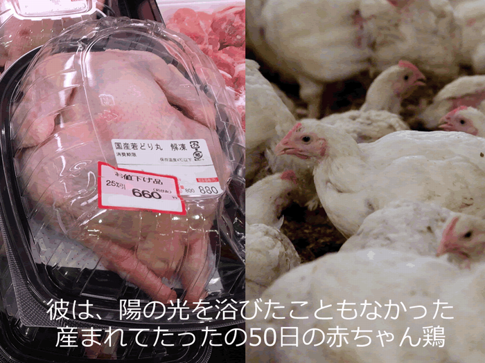 畜産動物をめぐる問題 変えられない現状は無いはず Dear Myself 畜産動物をめぐる問題 変えられない現状は無いはず Dear Myself