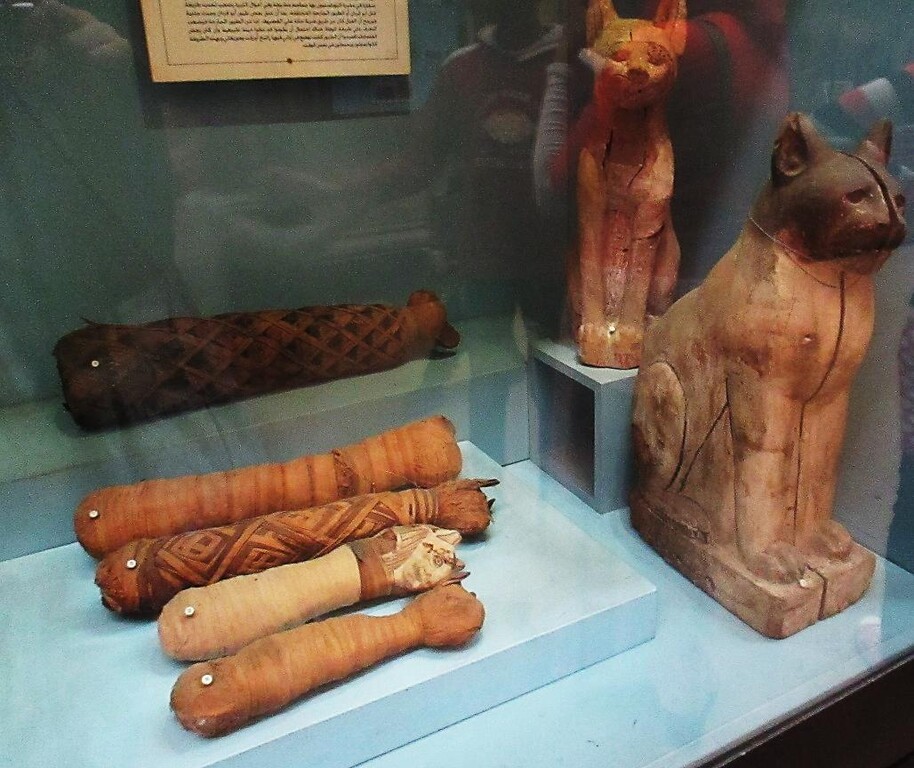 古代エジプト人に愛された猫のミィトちゃん カイロ 天使たちの暮らす街 古代エジプト人に愛された猫のミィトちゃん カイロ 天使たちの暮らす街