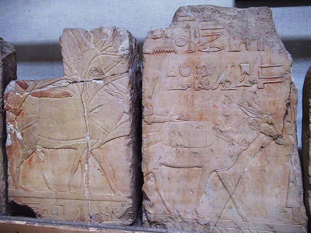 エジプト考古学博物館 ハトシェプスト女王葬祭殿 プント国遠征のレリーフ カイロ 天使たちの暮らす街